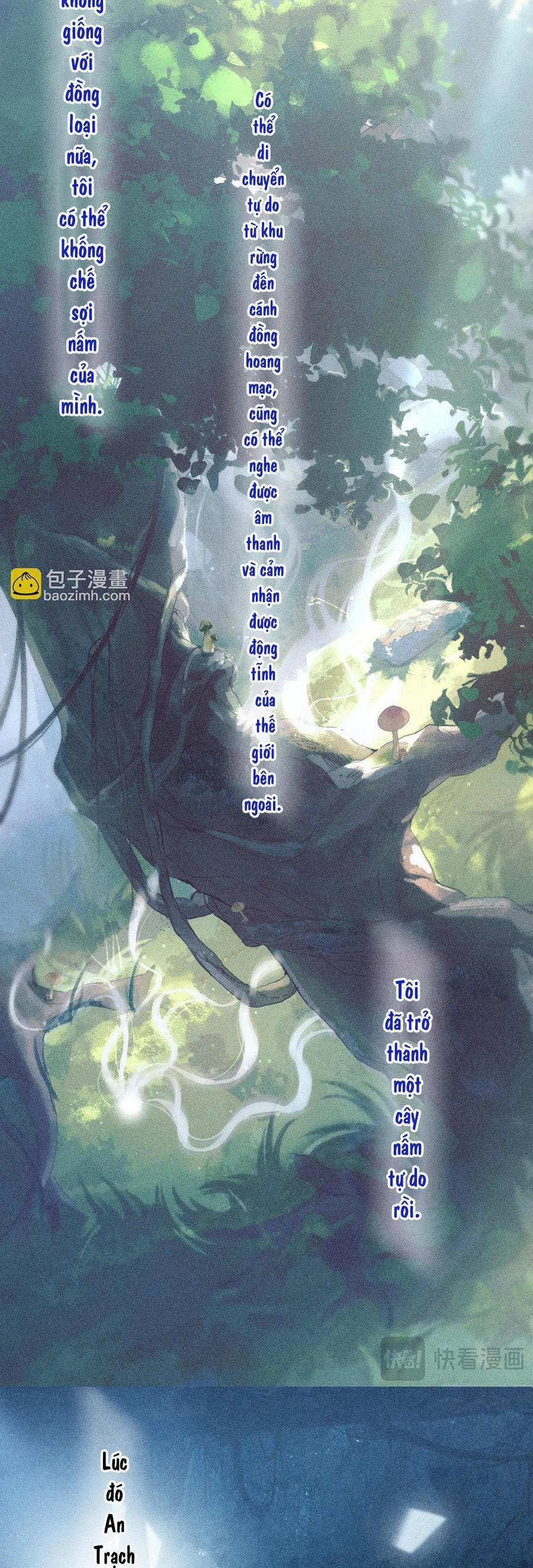 Cây Nấm Nhỏ 10 NGANG RAW trang 10