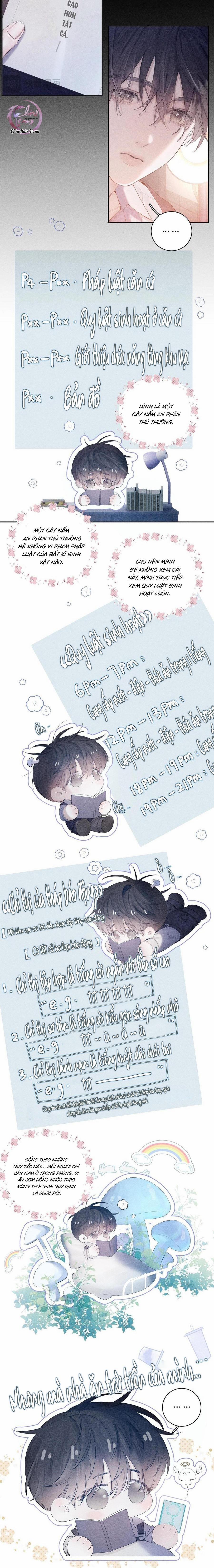 Cây Nấm Nhỏ 11 NGANG RAW trang 11