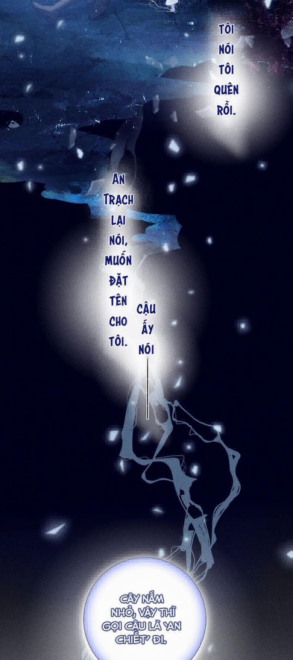 Cây Nấm Nhỏ 11 trang 13