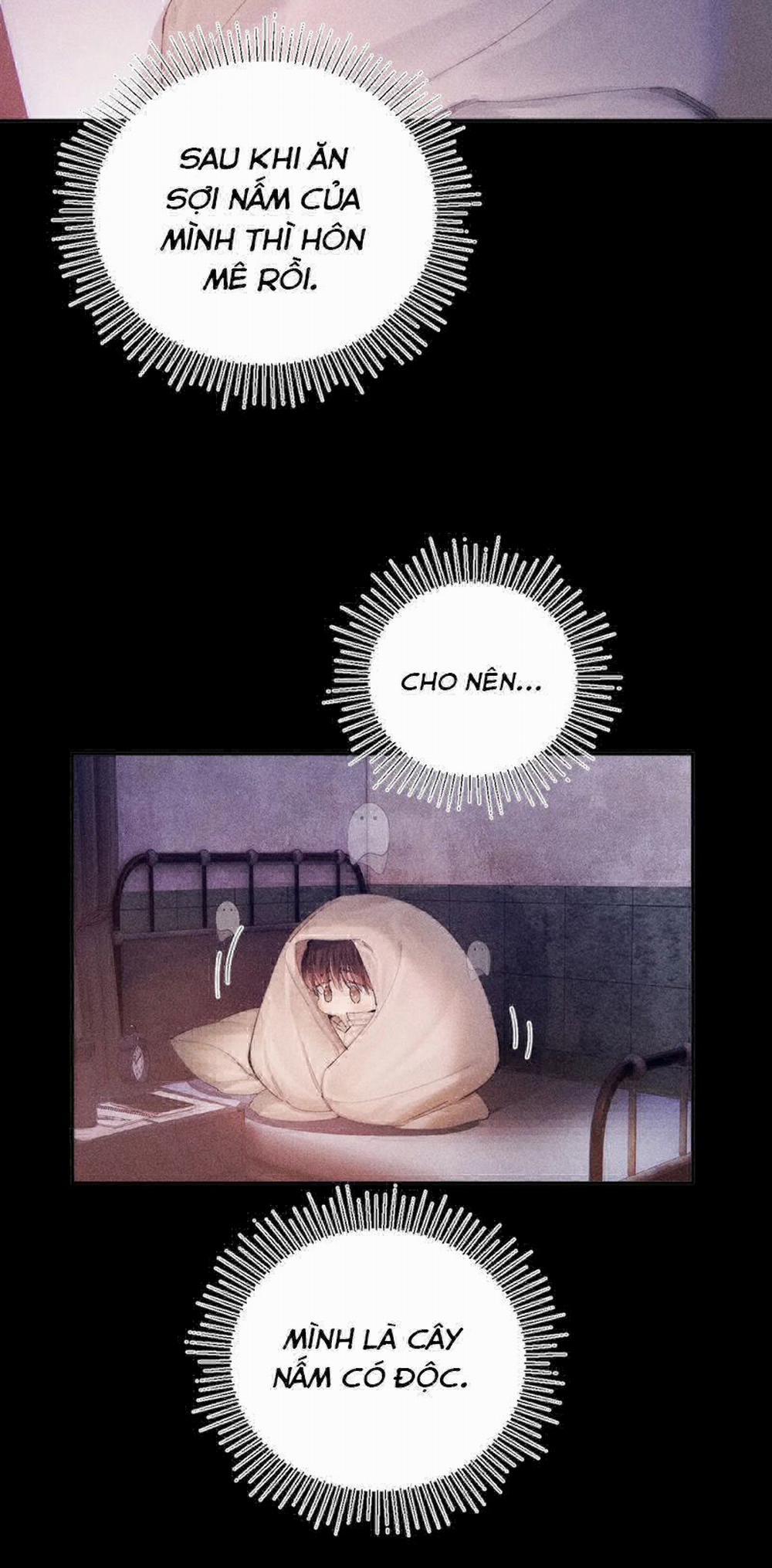 Cây Nấm Nhỏ 11 trang 31