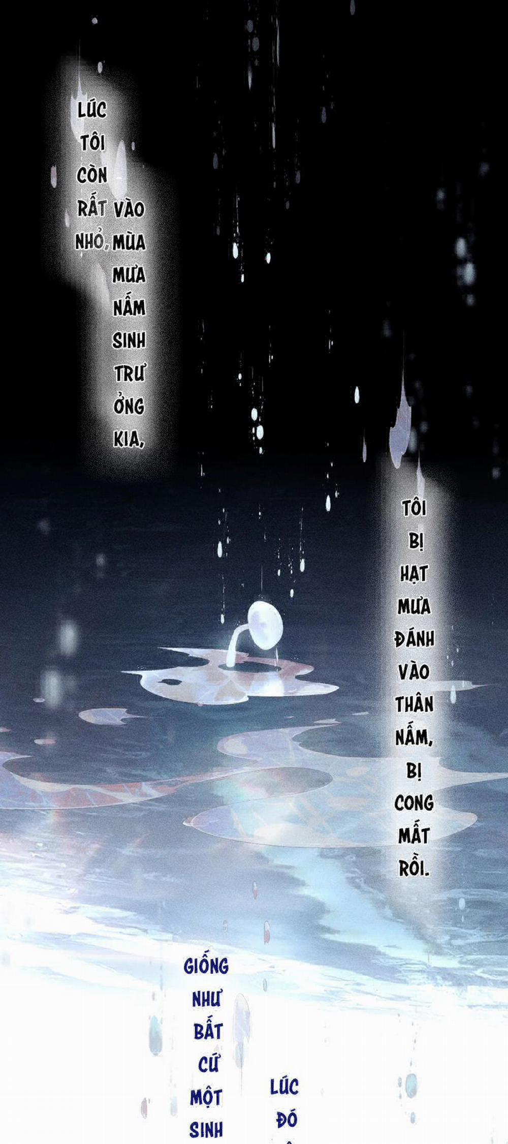 Cây Nấm Nhỏ 11 trang 9