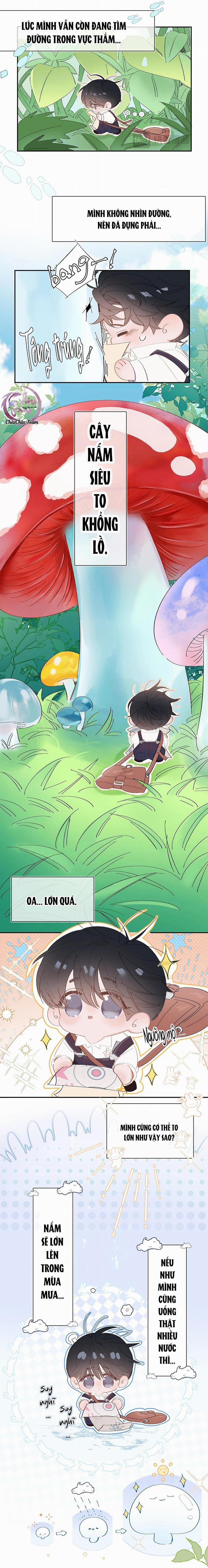 Cây Nấm Nhỏ 22.2 trang 2