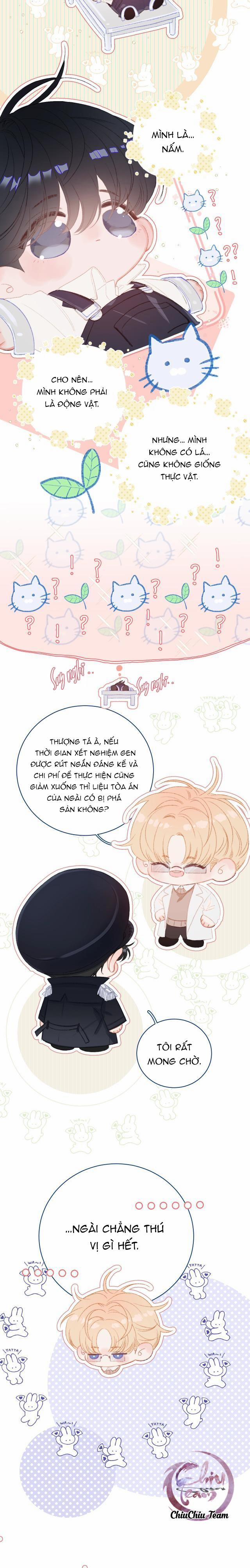 Cây Nấm Nhỏ 5.2 trang 1