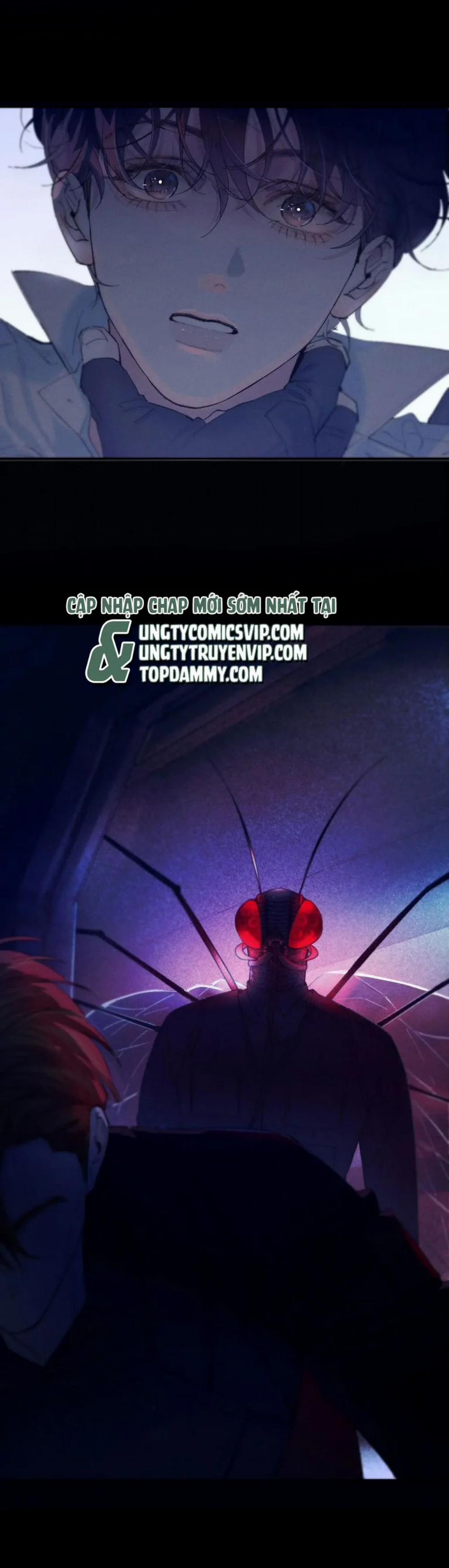 Cây Nấm Nhỏ 5 trang 13