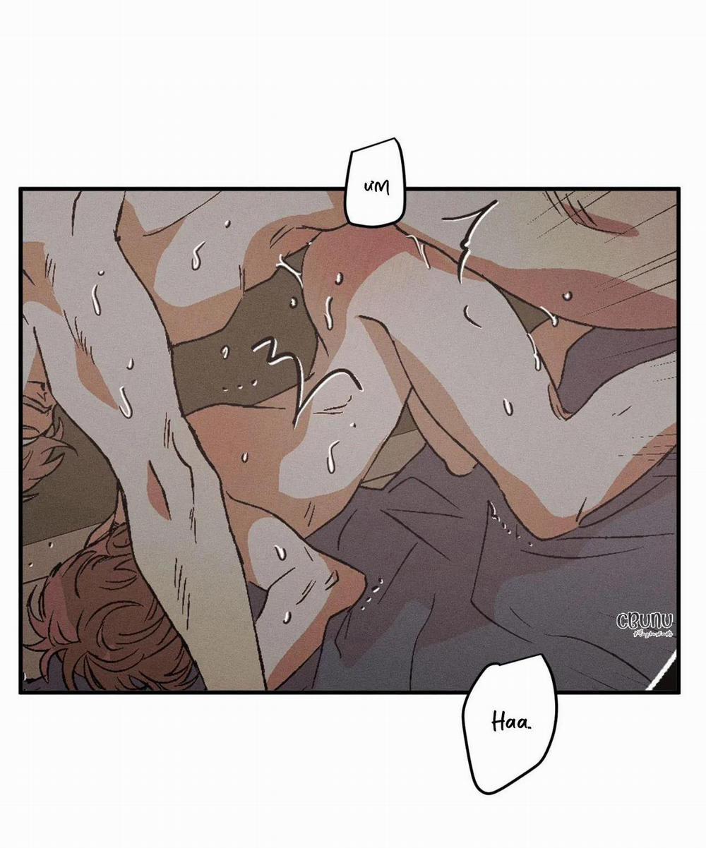 (Cbunu) Bẫy Đôi Ngọt Ngào 17 trang 70