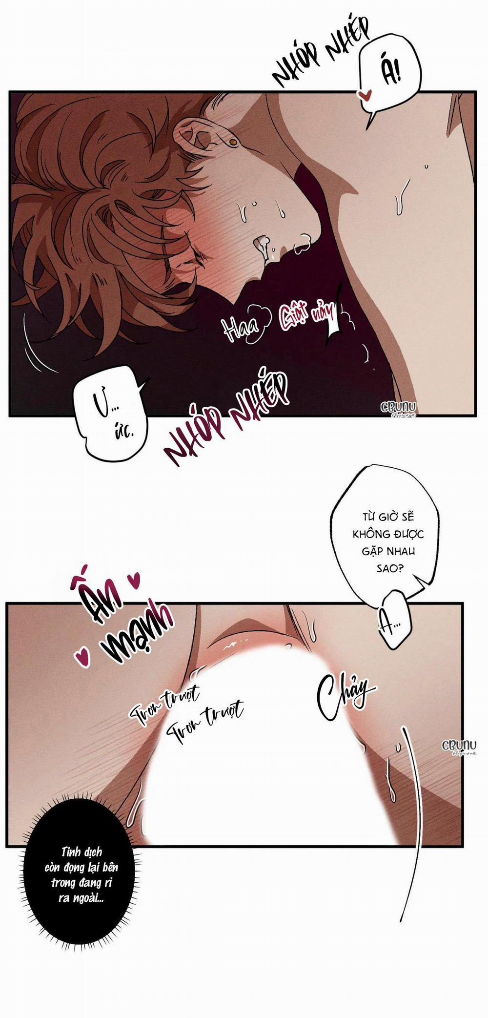 (Cbunu) Bẫy Đôi Ngọt Ngào 31 H+ trang 14