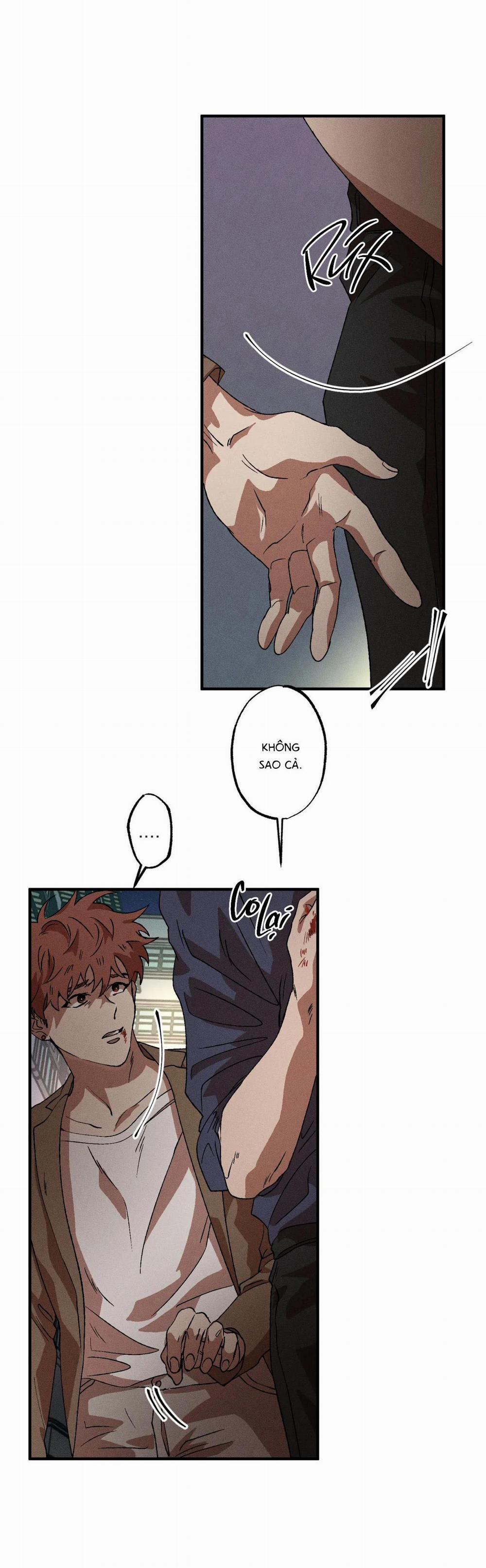 (Cbunu) Bẫy Đôi Ngọt Ngào 56 trang 24