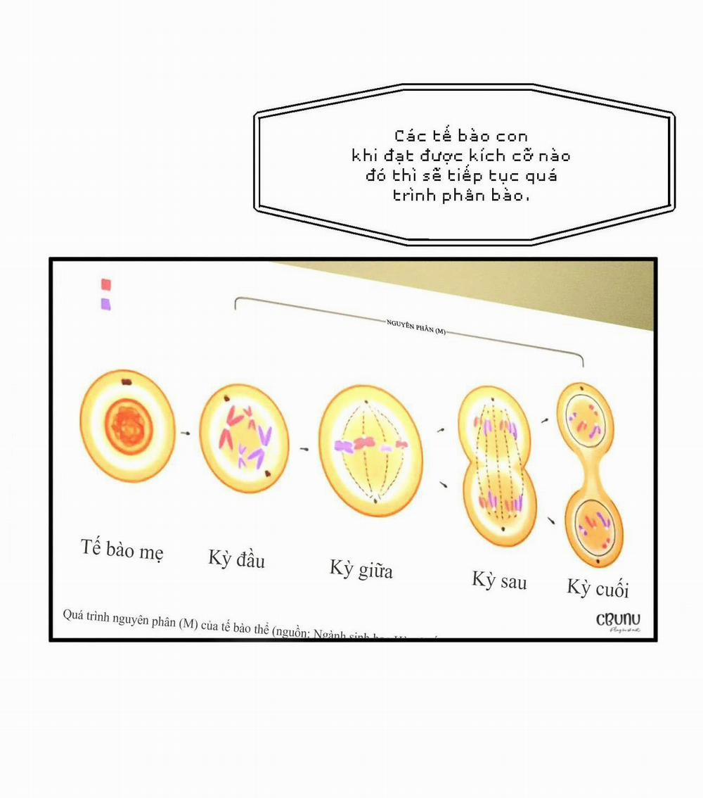 (Cbunu) Bẫy Đôi Ngọt Ngào 9 H+ trang 34