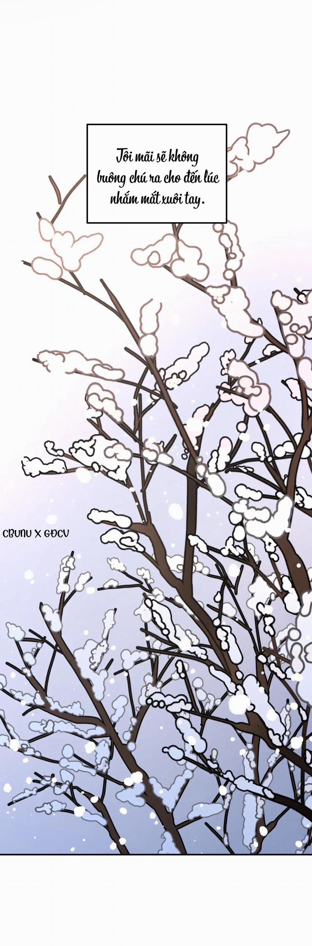 (Cbunu) Cây Không Có Rễ 26 H+ trang 106
