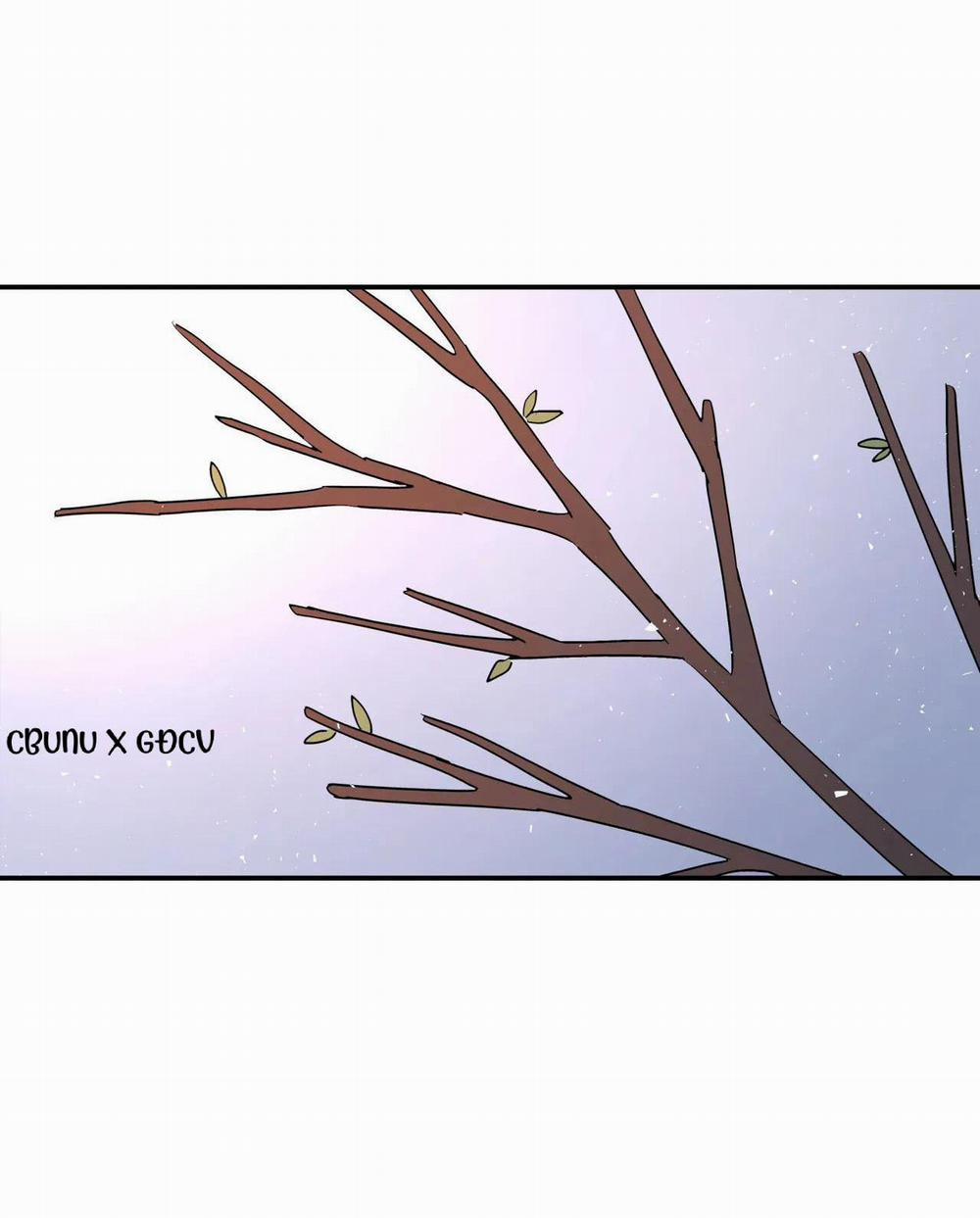 (Cbunu) Cây Không Có Rễ 26 H+ trang 107