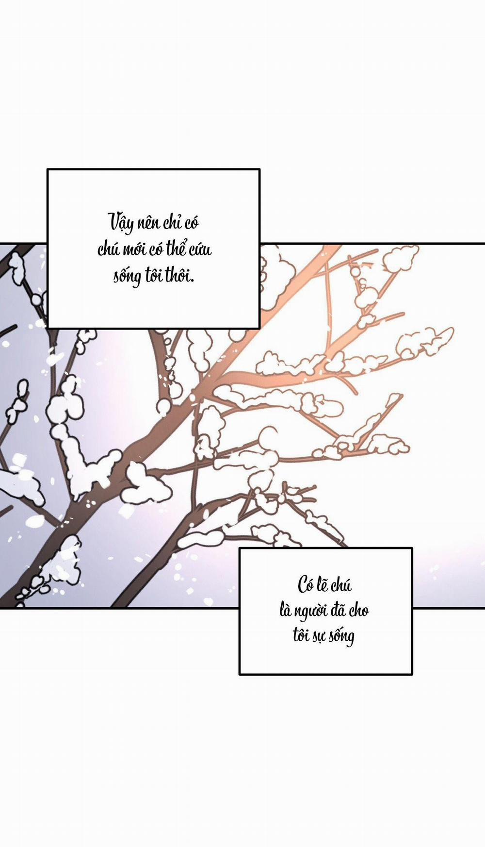 (Cbunu) Cây Không Có Rễ 50 trang 72