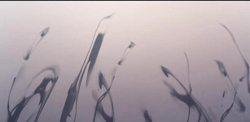 (Cbunu) Cây Không Có Rễ 8 trang 39