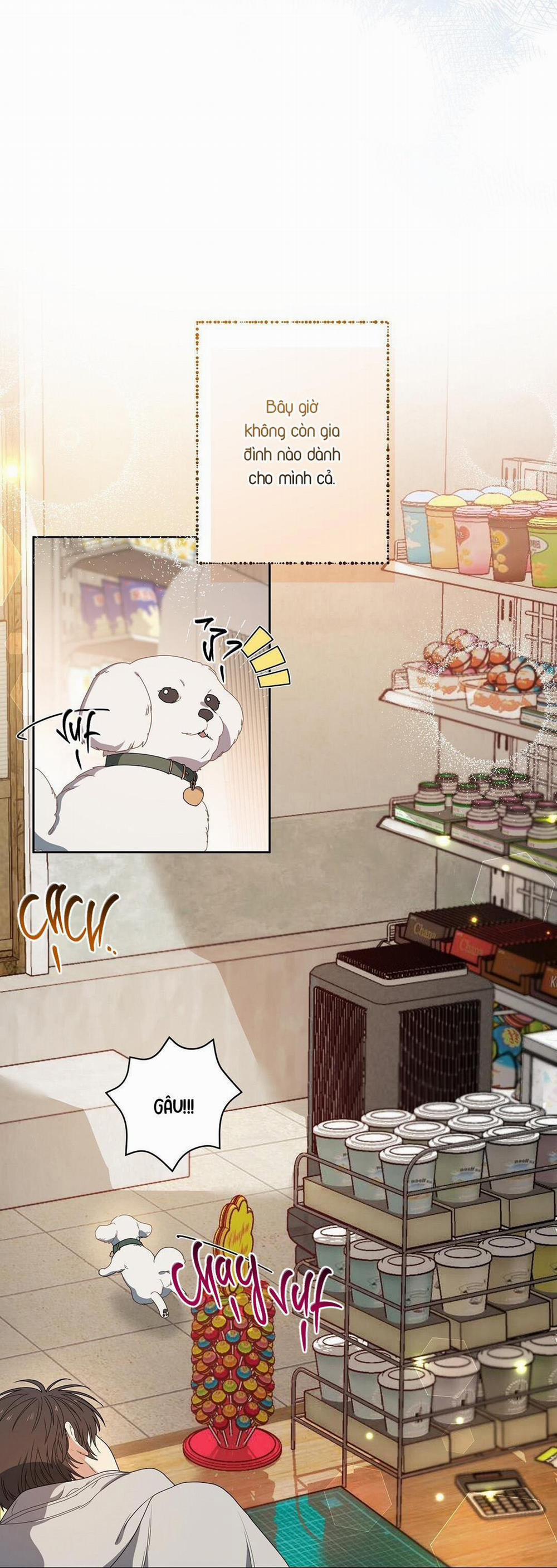 (Cbunu) Cherry Cake 1 trang 21