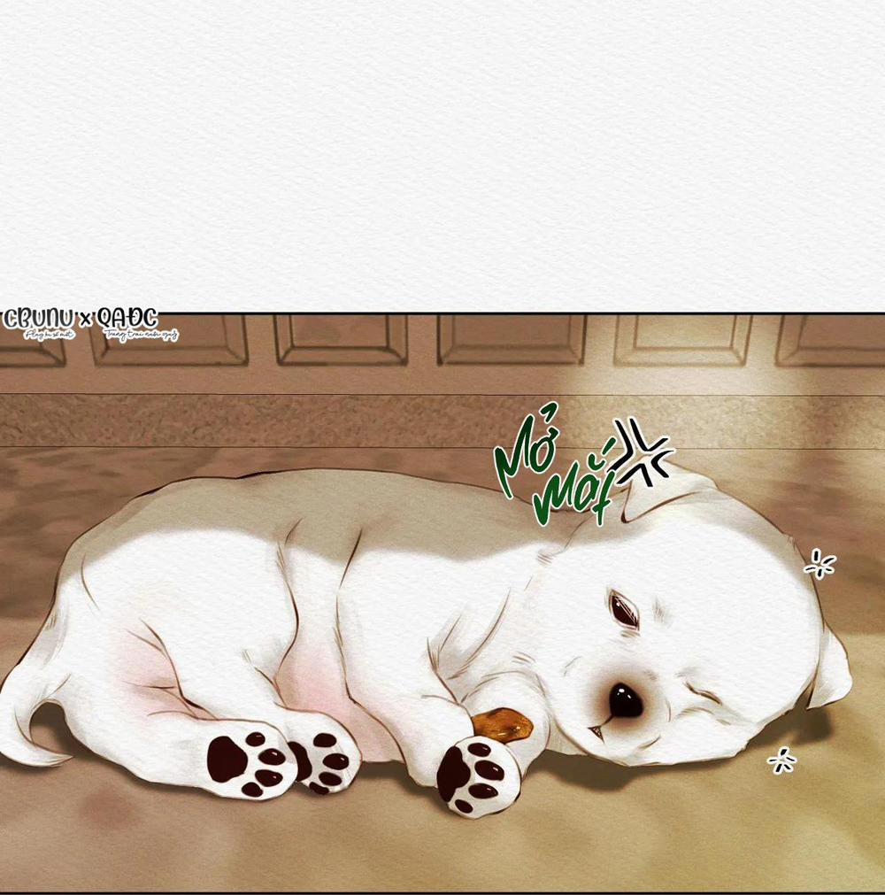 (Cbunu) Củy Dạ Khút 13 trang 5