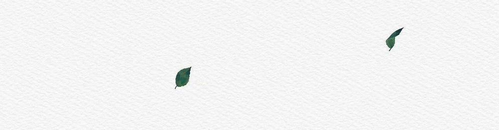 (Cbunu) Củy Dạ Khút 38 trang 86