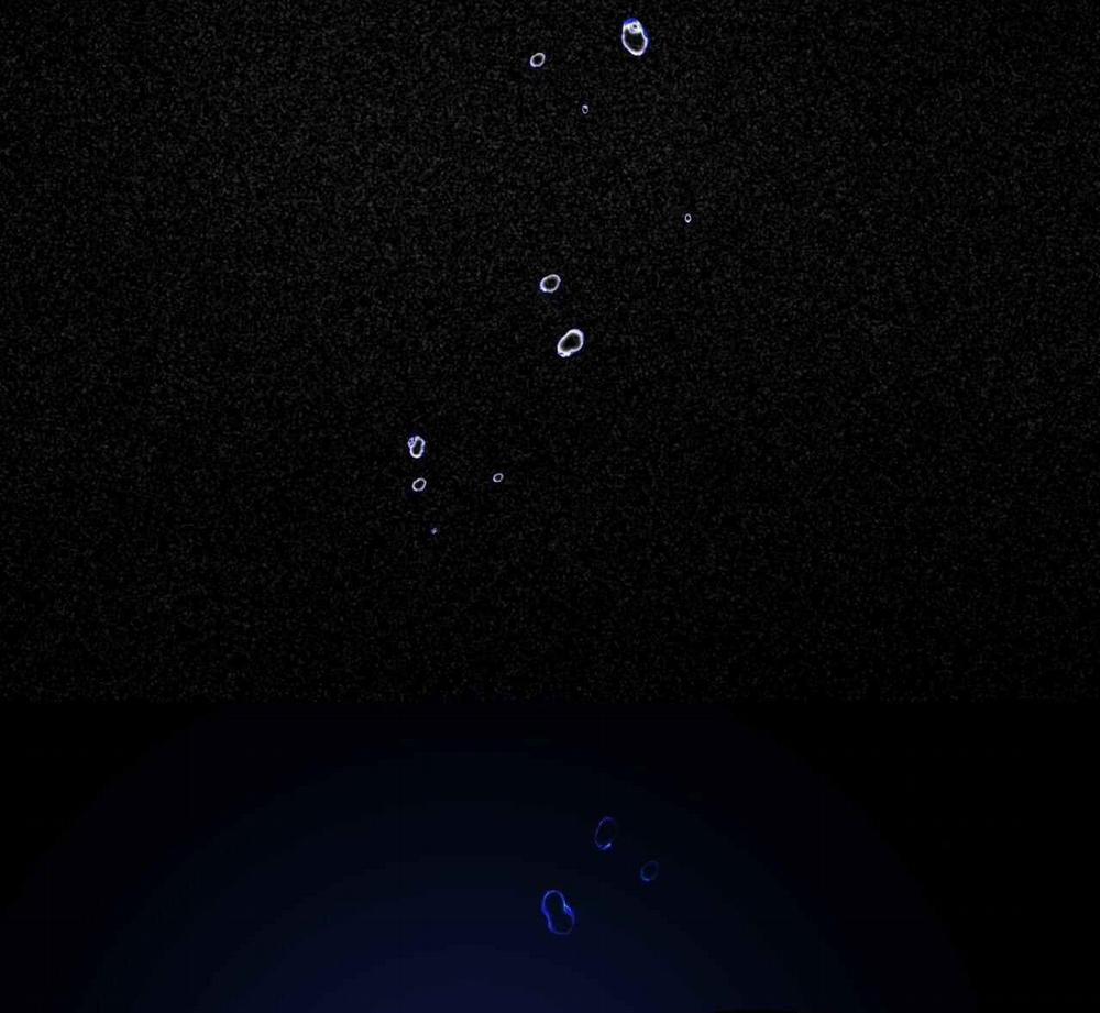 (Cbunu) Đầm Lầy Của Nhân Ngư 16 trang 14