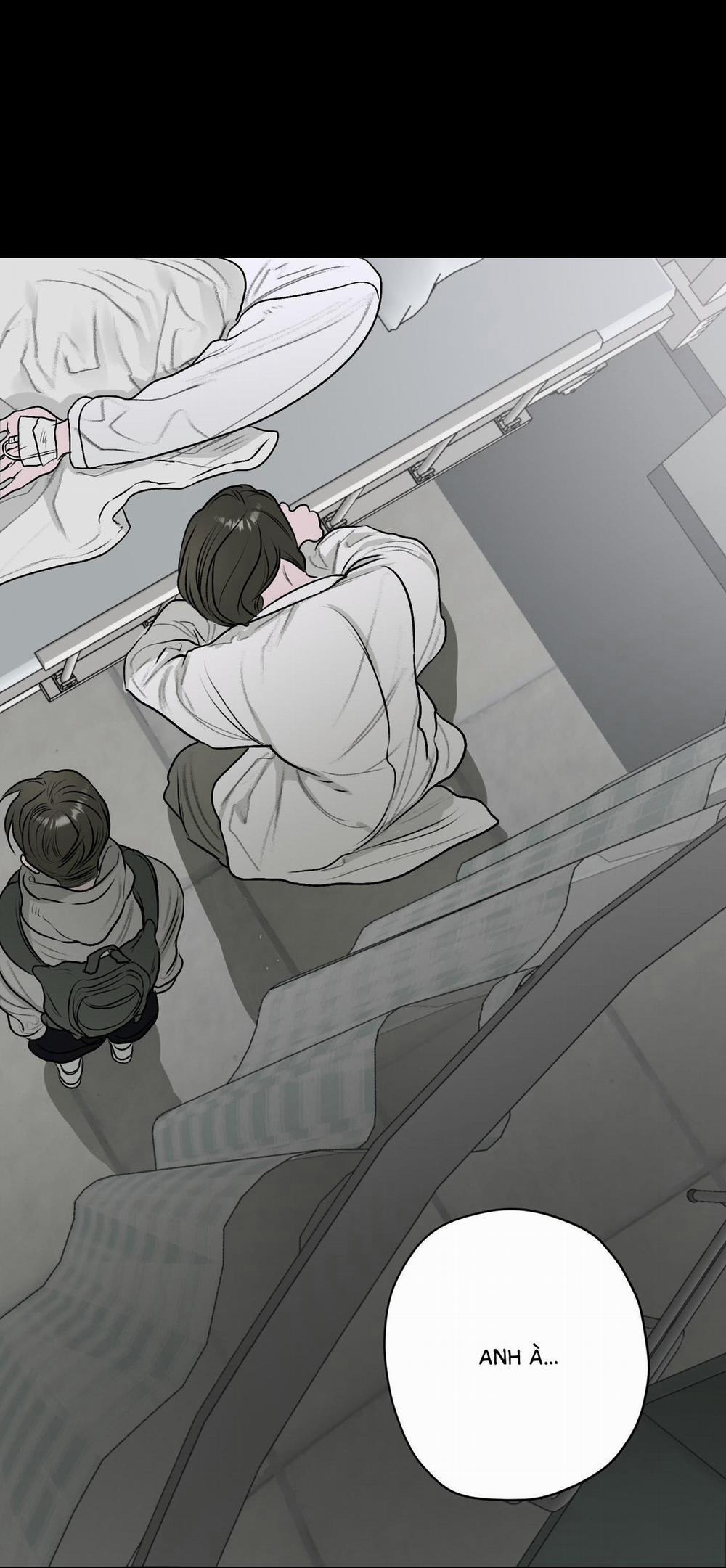 (Cbunu) Đầm Sen Héo Úa 11 trang 24