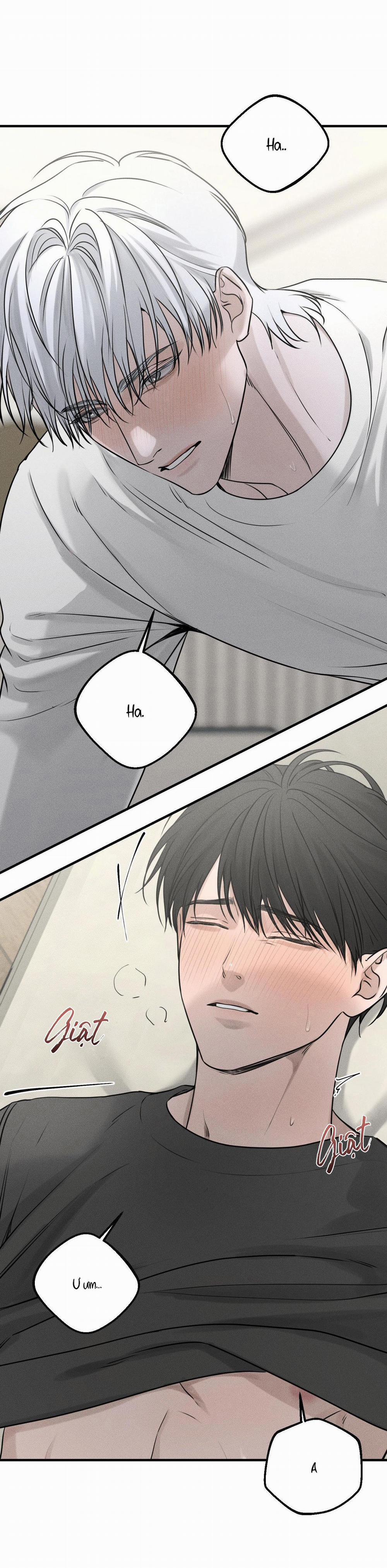 (CBunu) Gấu Teddy thân yêu 10 trang 19