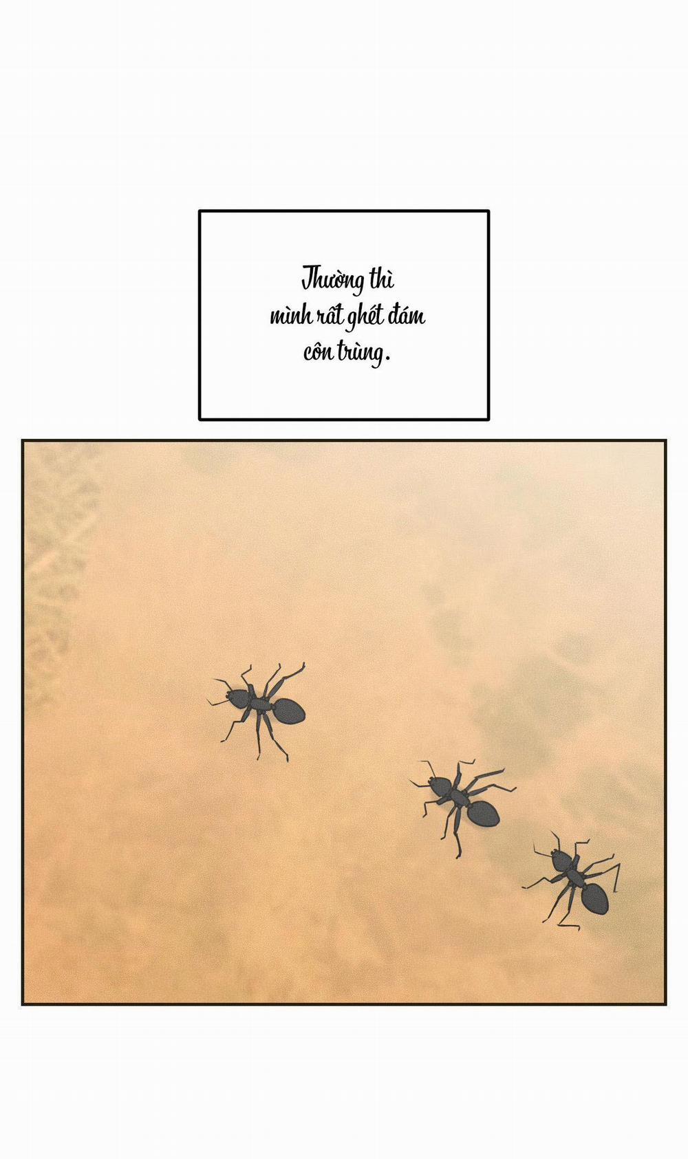 (CBunu) Gấu Teddy thân yêu 11 trang 1