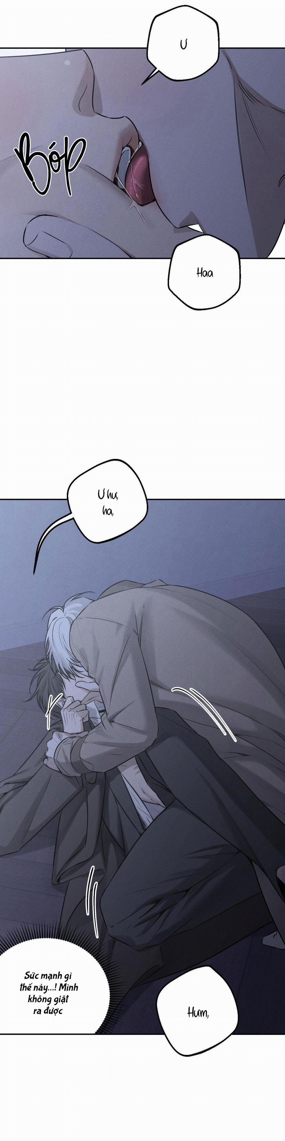 (CBunu) Gấu Teddy thân yêu 17 trang 7