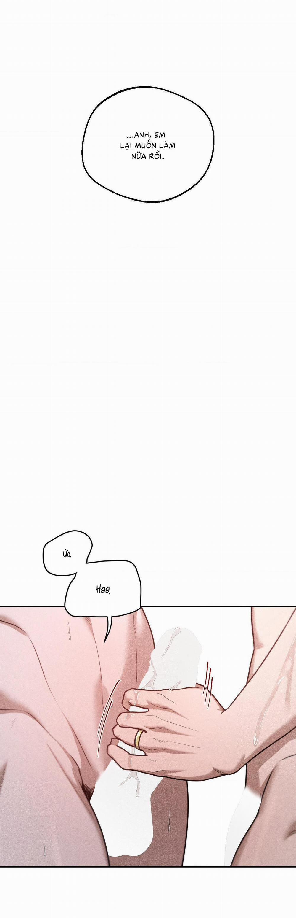 (CBunu) Gấu Teddy thân yêu 34 H+ trang 11