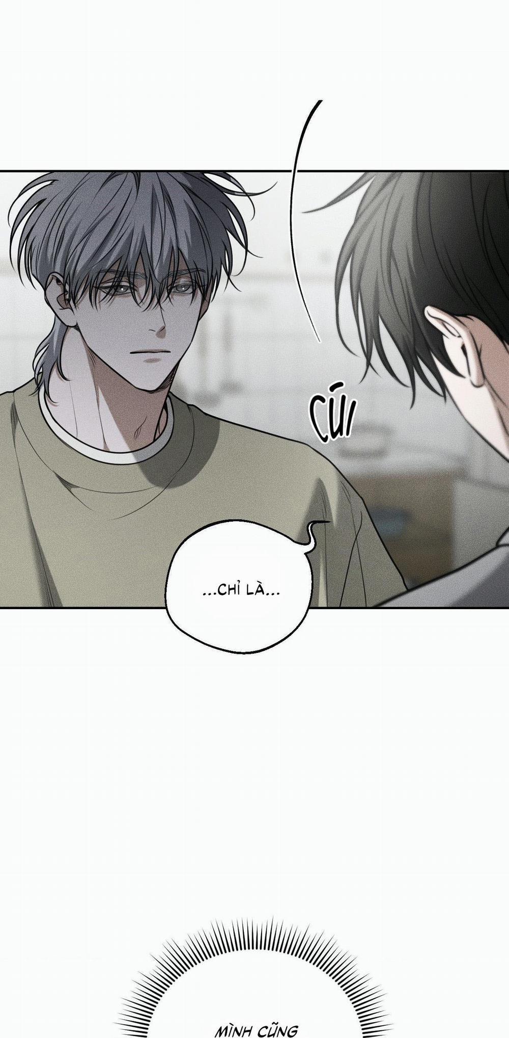 (CBunu) Gấu Teddy thân yêu 35 H+ trang 5