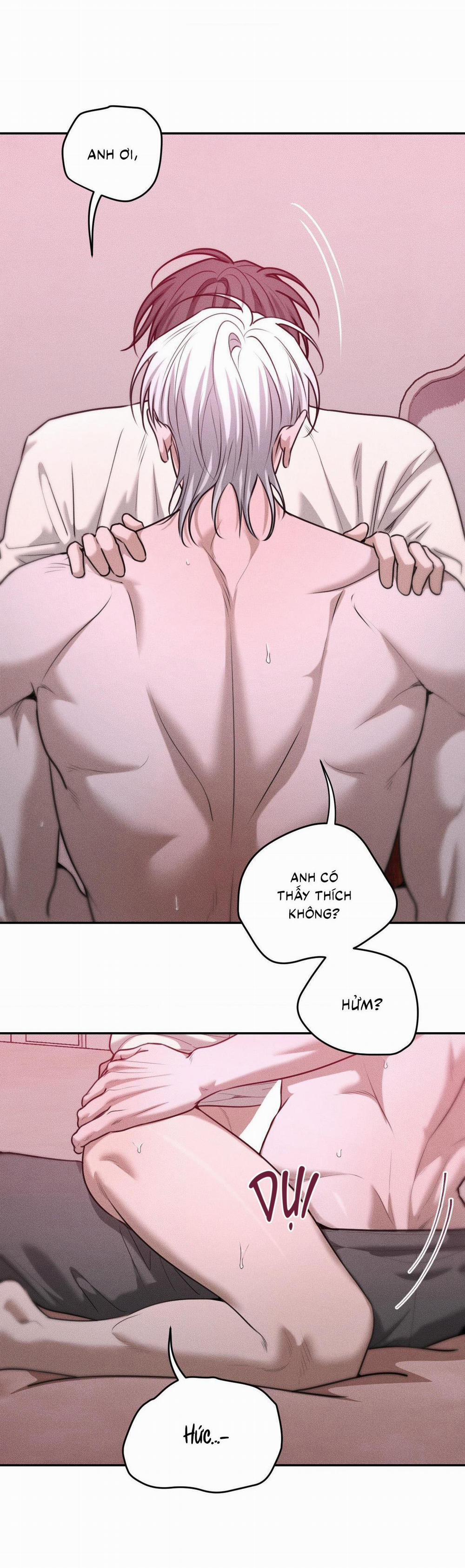 (CBunu) Gấu Teddy thân yêu 36 H+ trang 21