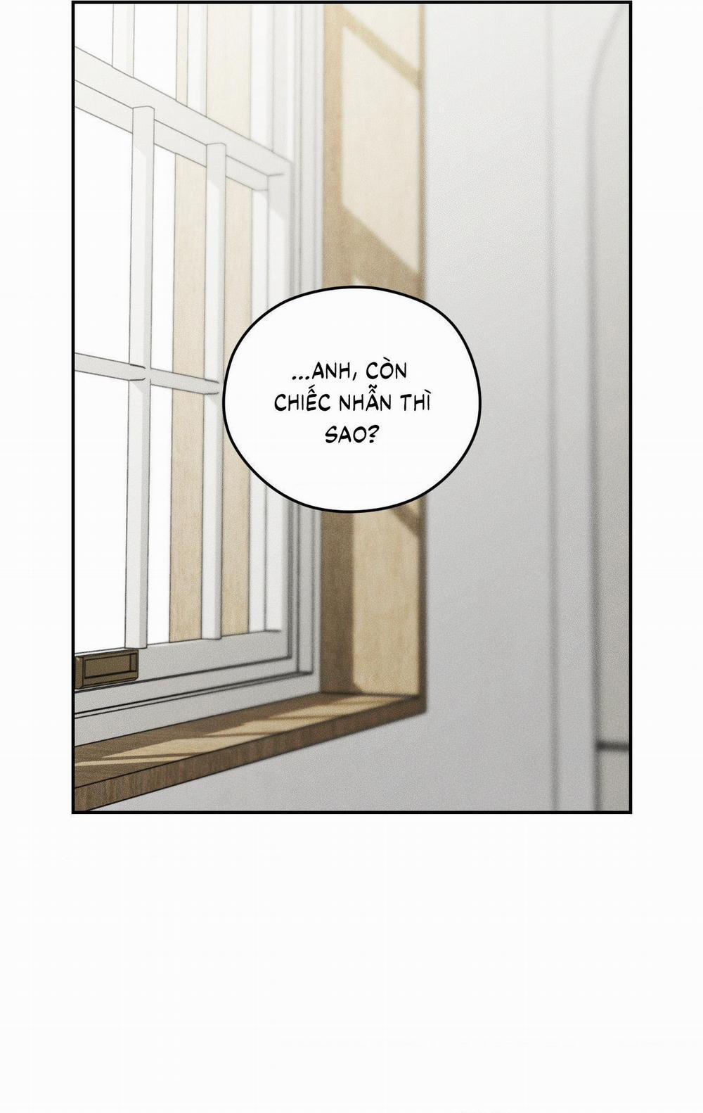 (CBunu) Gấu Teddy thân yêu 42 trang 13