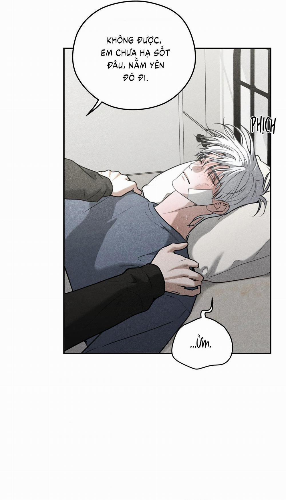 (CBunu) Gấu Teddy thân yêu 42 trang 8