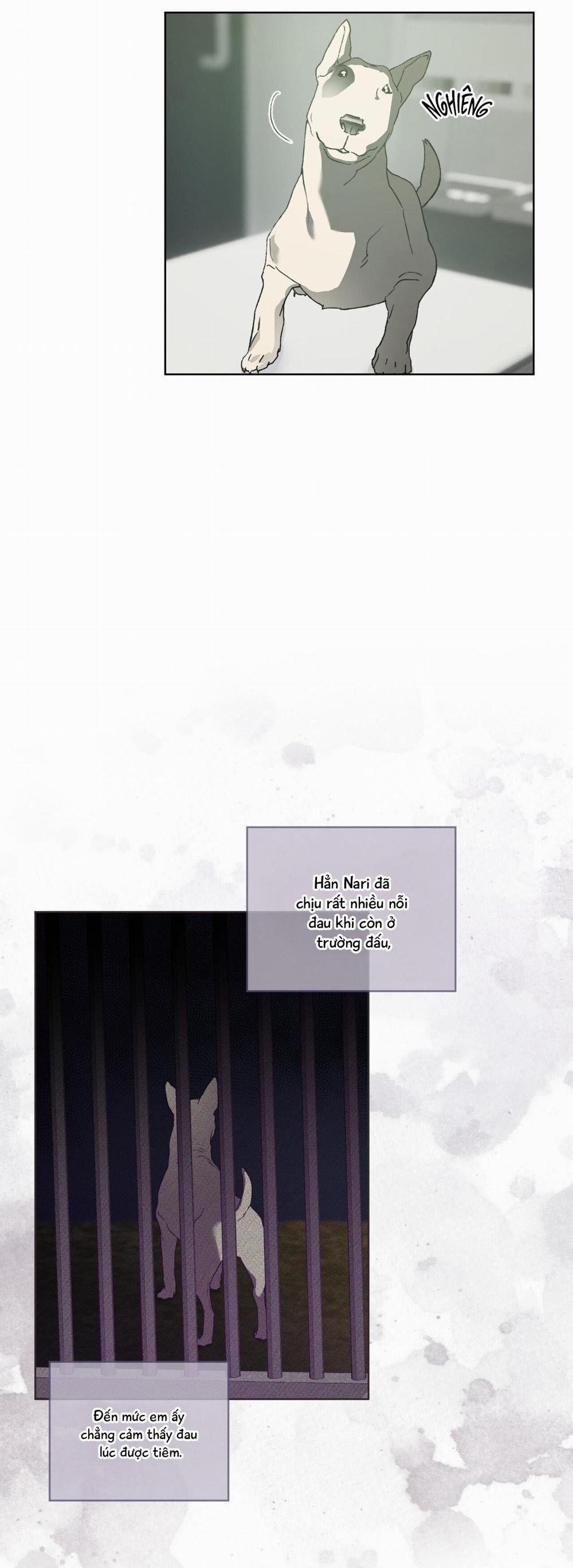 (Cbunu) Hồi Ức Của Nhịp Thở 29 End season 1 trang 32