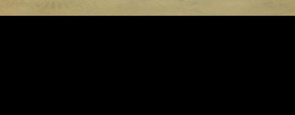 (Cbunu) Khu Rừng Tĩnh Lặng 12 trang 2