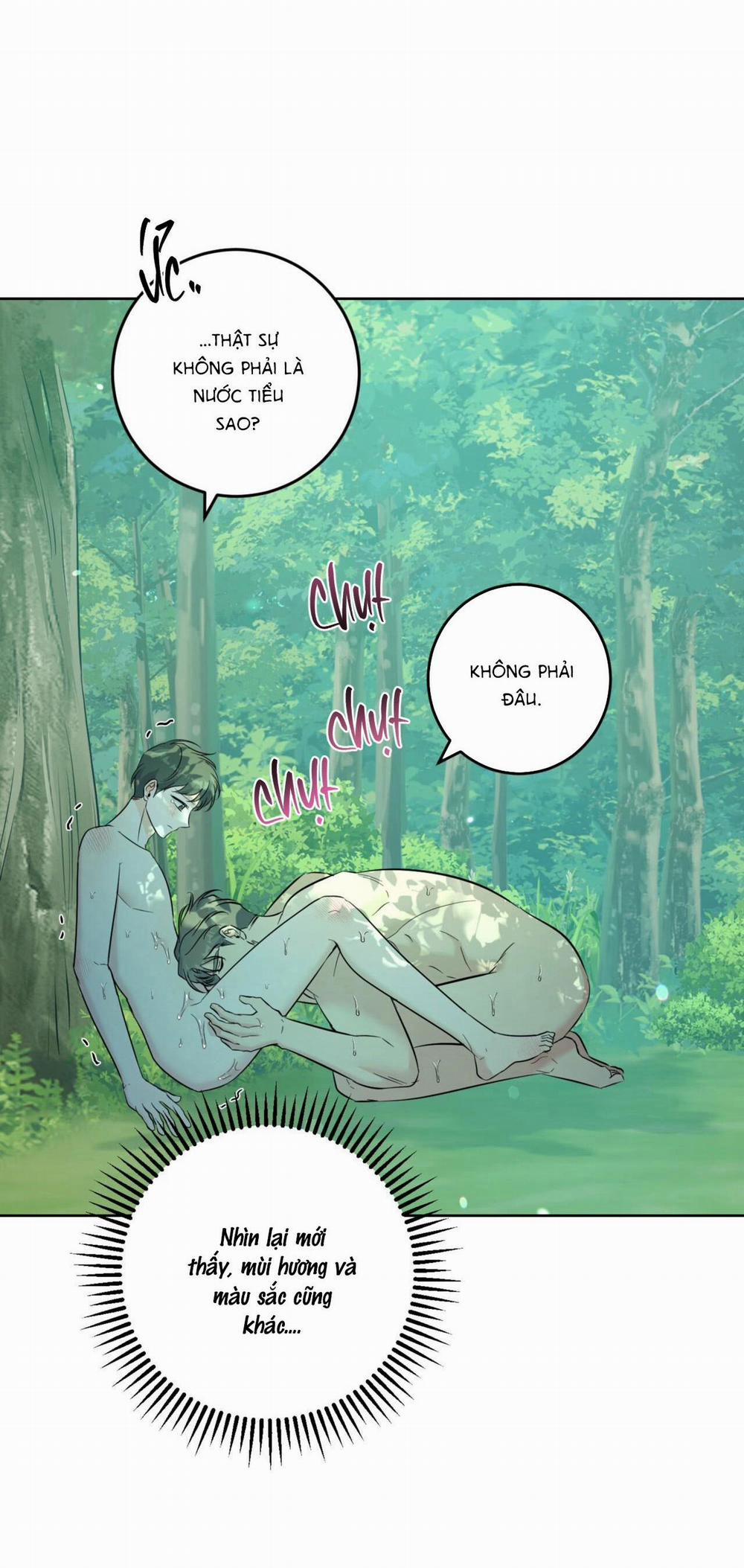 (Cbunu) Khu Rừng Tĩnh Lặng 28 H+ trang 12