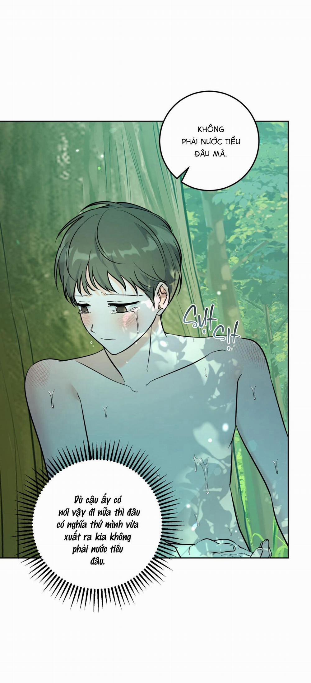 (Cbunu) Khu Rừng Tĩnh Lặng 28 H+ trang 5