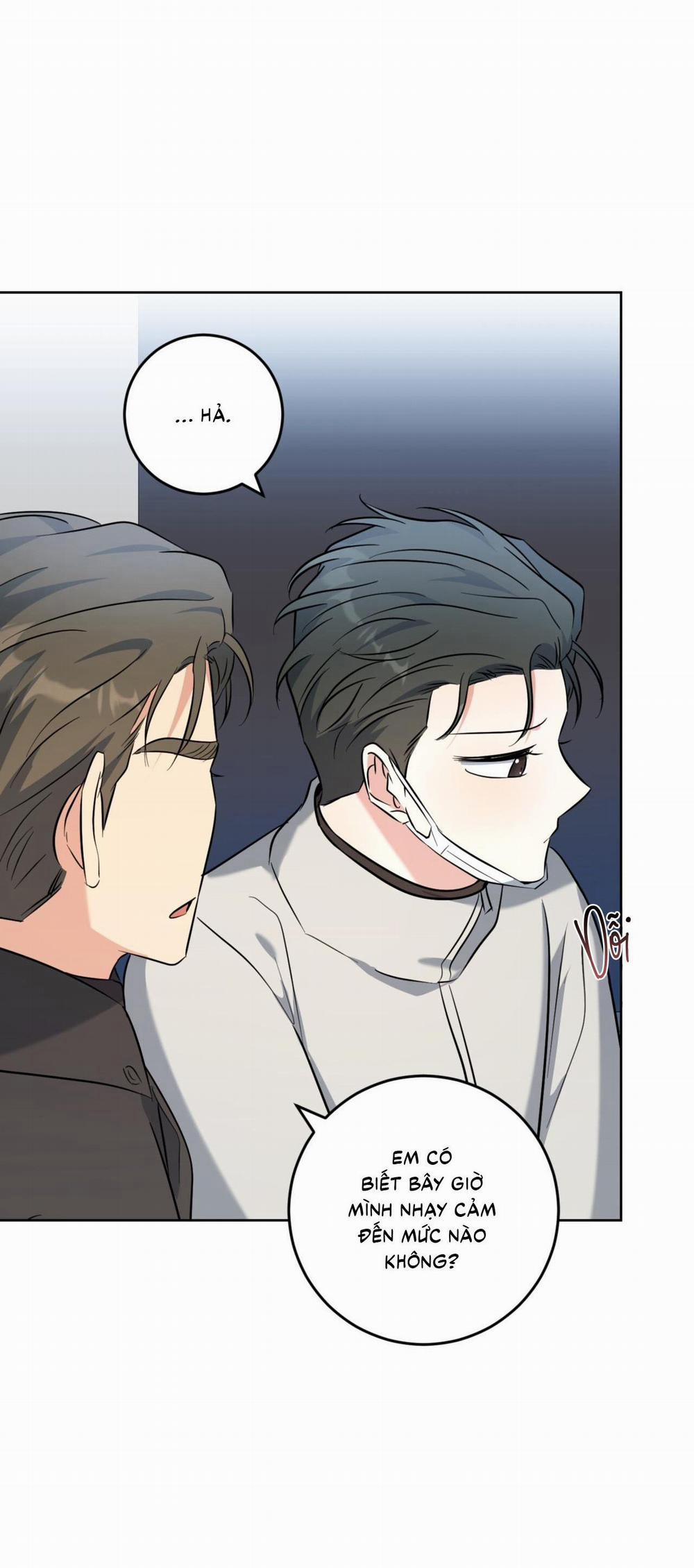 (Cbunu) Khu Rừng Tĩnh Lặng 50 H+ trang 25