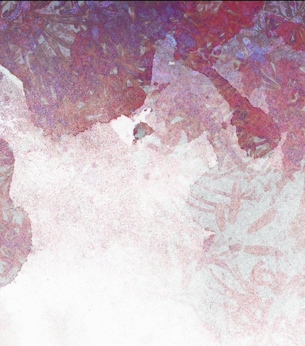 (Cbunu) Phạm Luật 53 trang 44