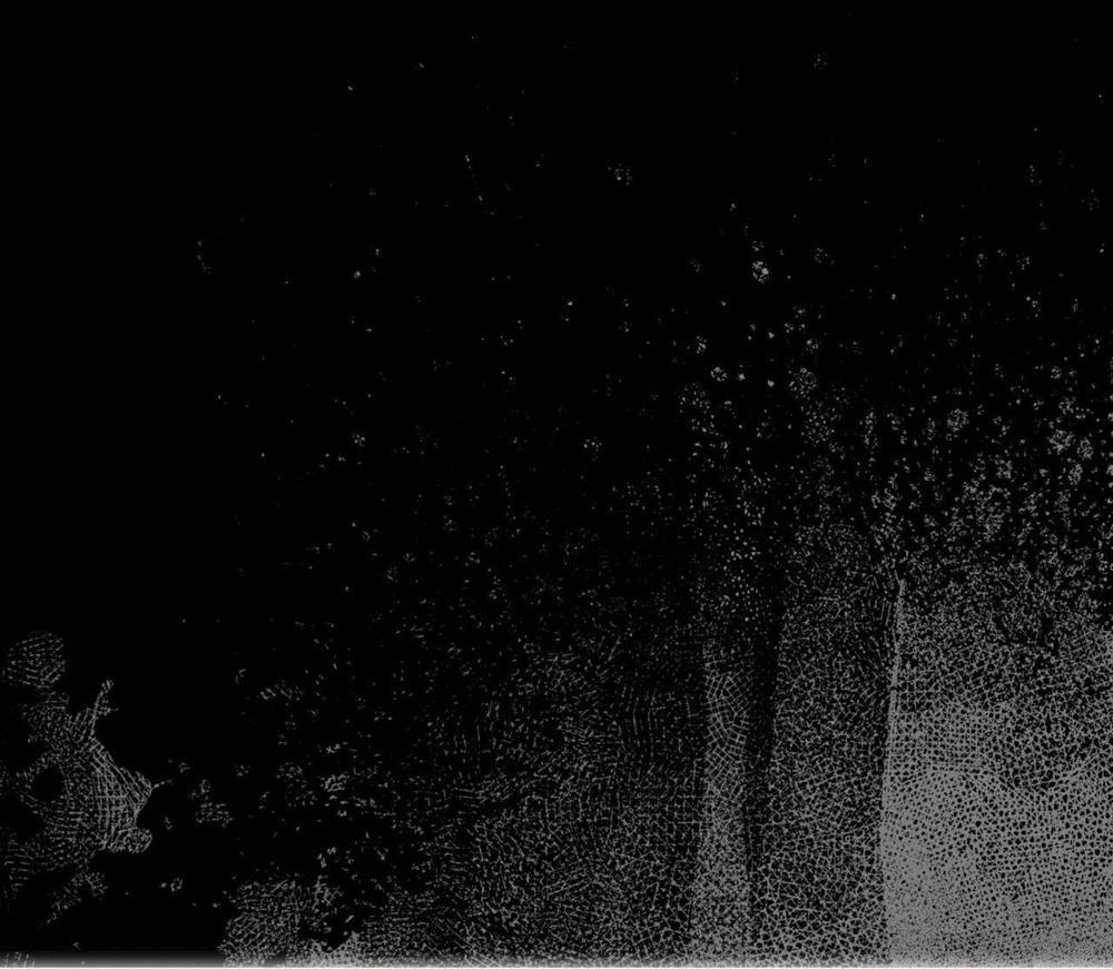 (Cbunu) Phạm Luật 61 trang 56