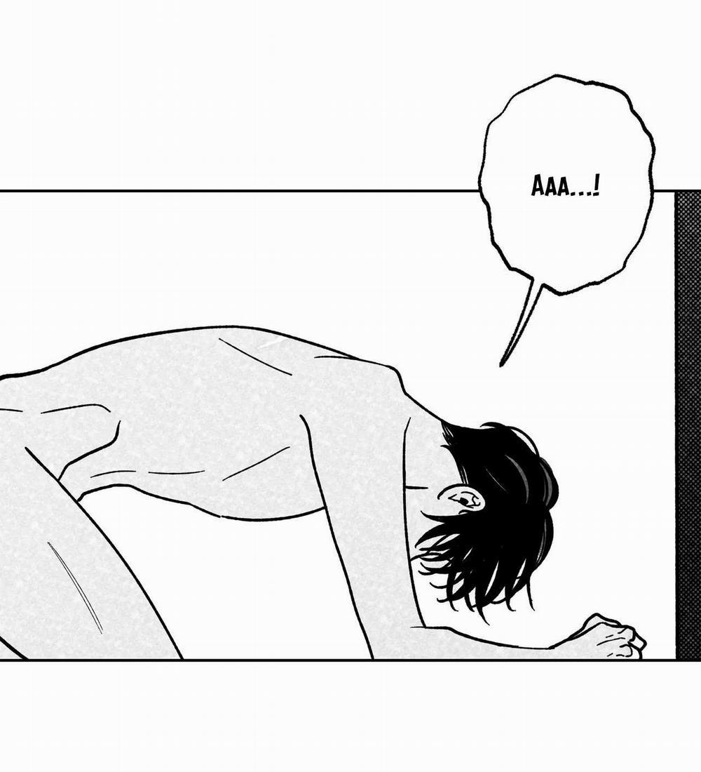 (Cbunu) Sự Kết Hợp Hoàn Hảo 16 trang 48