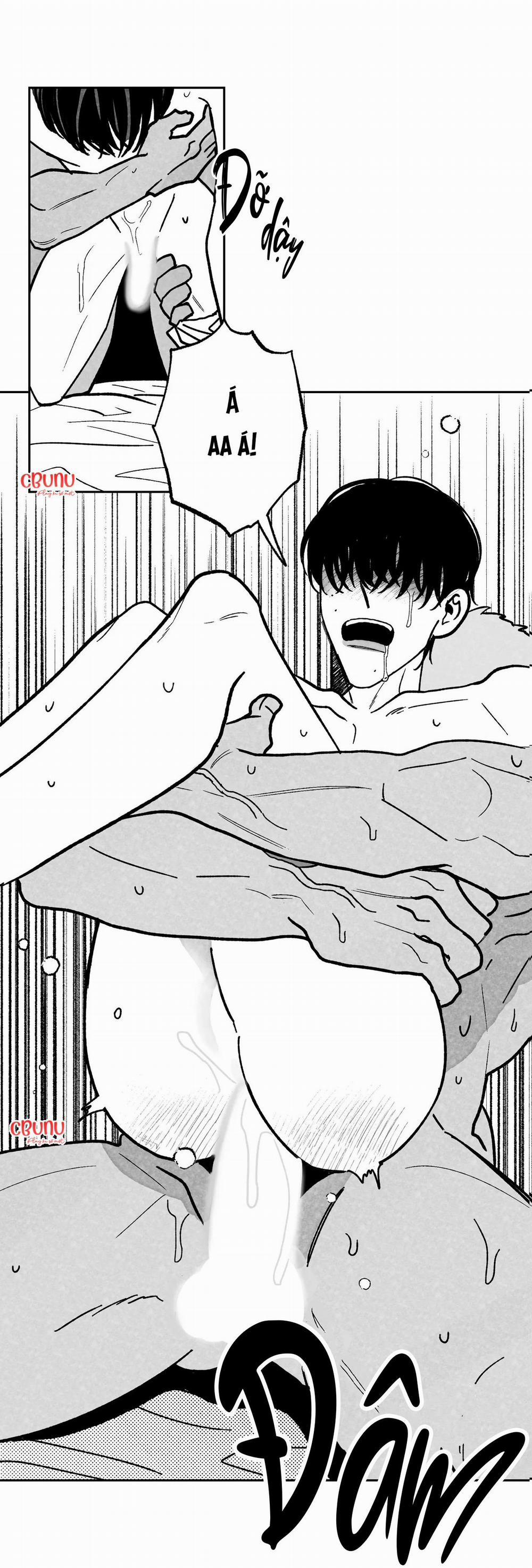(Cbunu) Sự Kết Hợp Hoàn Hảo 20 trang 12