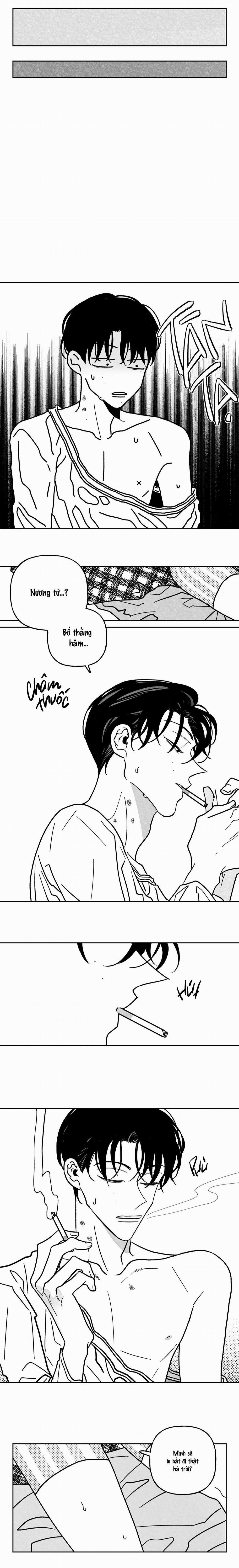 (Cbunu) Sự Kết Hợp Hoàn Hảo 9 trang 7