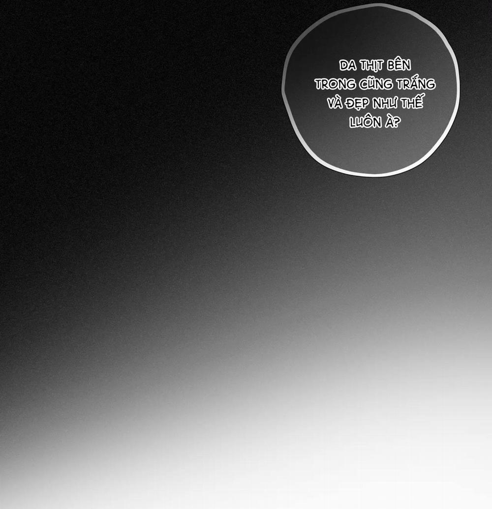 (Cbunu) Tình Yêu Và Danh Vọng 17 trang 31