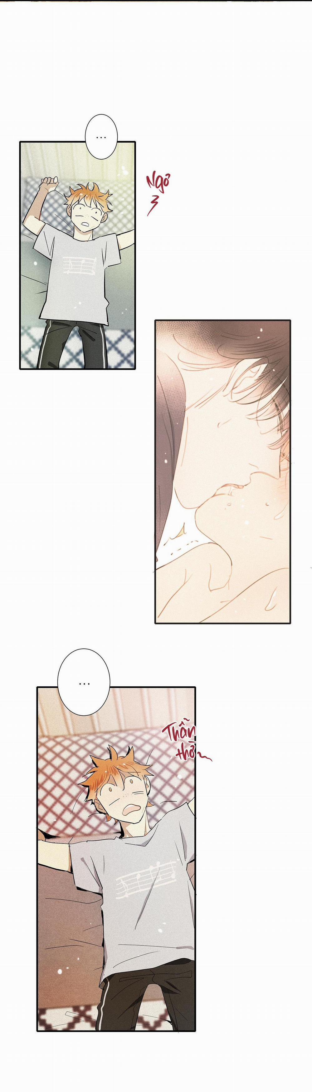 (Cbunu) Tình Yêu Và Danh Vọng 39 trang 14