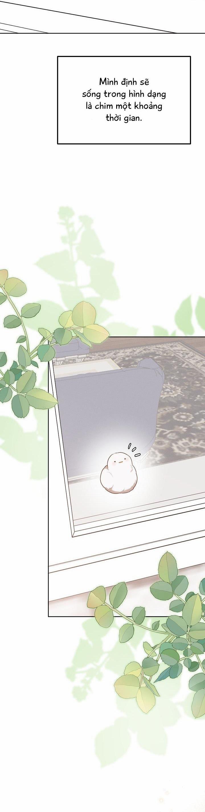 (Cbunu) Xin Người Đừng Nhấn 32 trang 37