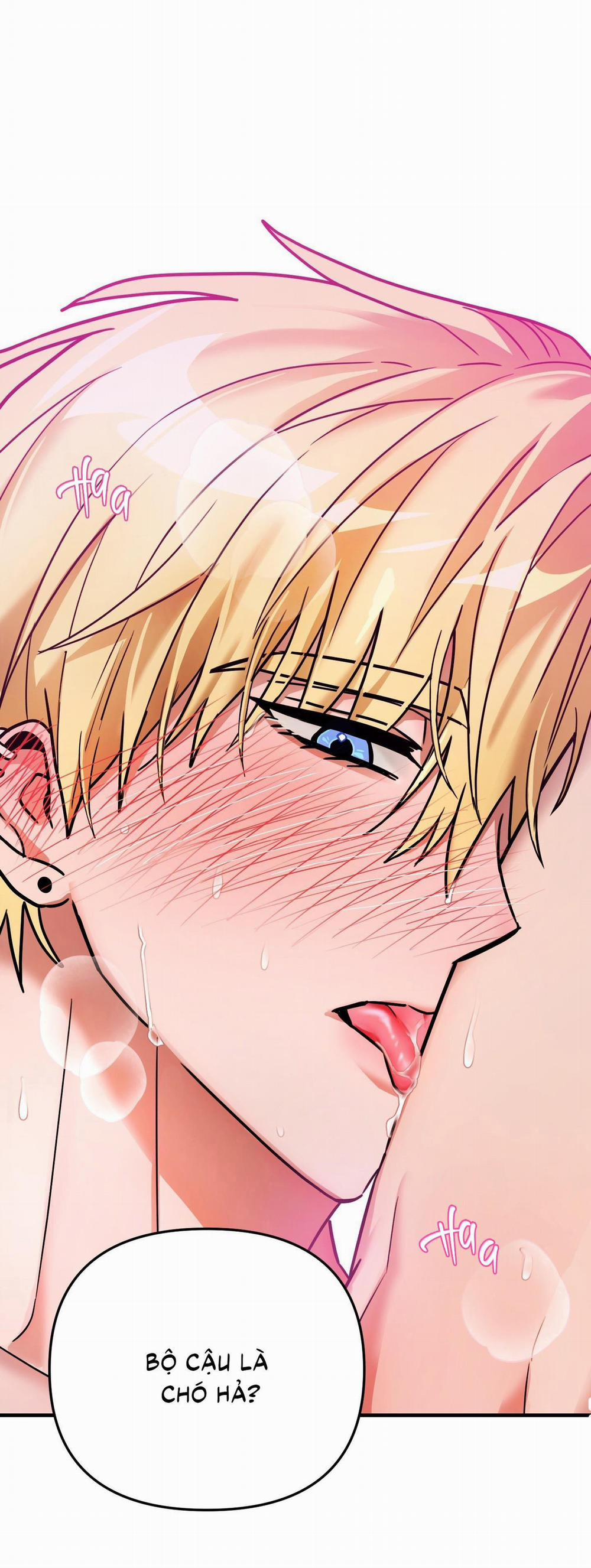 ( CBunu ) Yêu Phải Lừa Đảo 7 trang 63