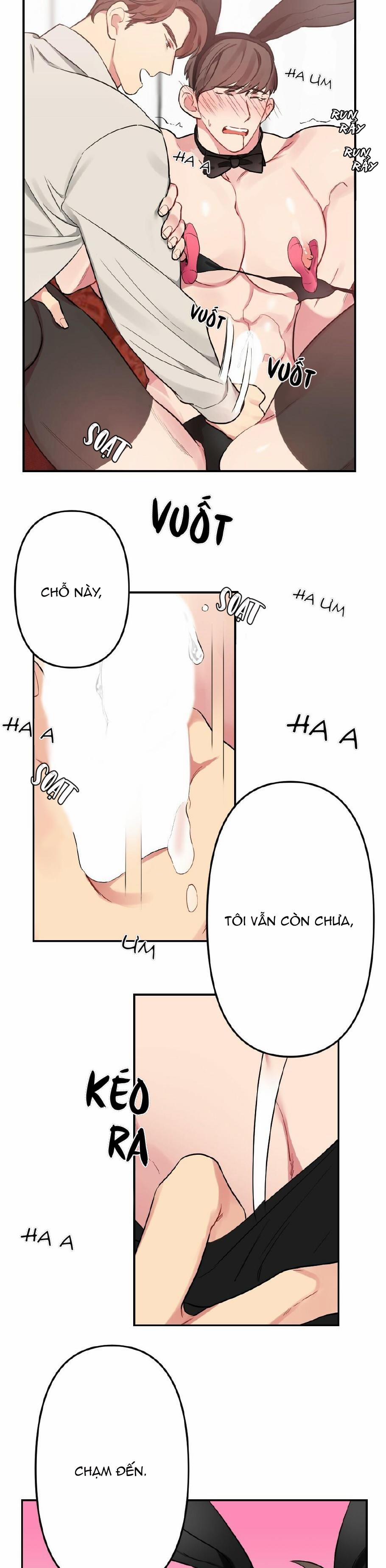 CHĂM SÓC 13 trang 2