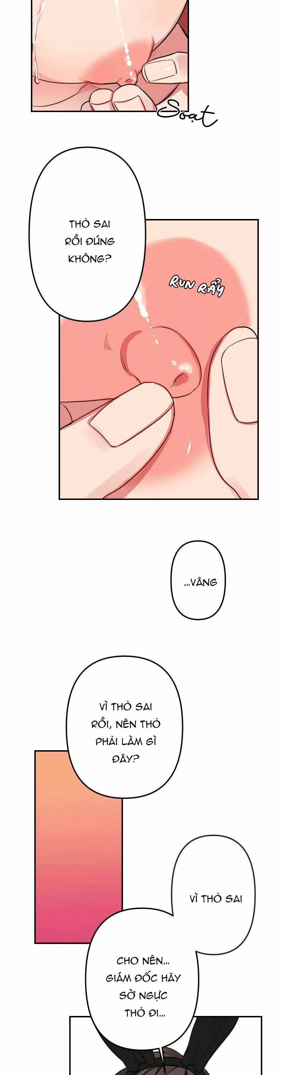 CHĂM SÓC 14 trang 10