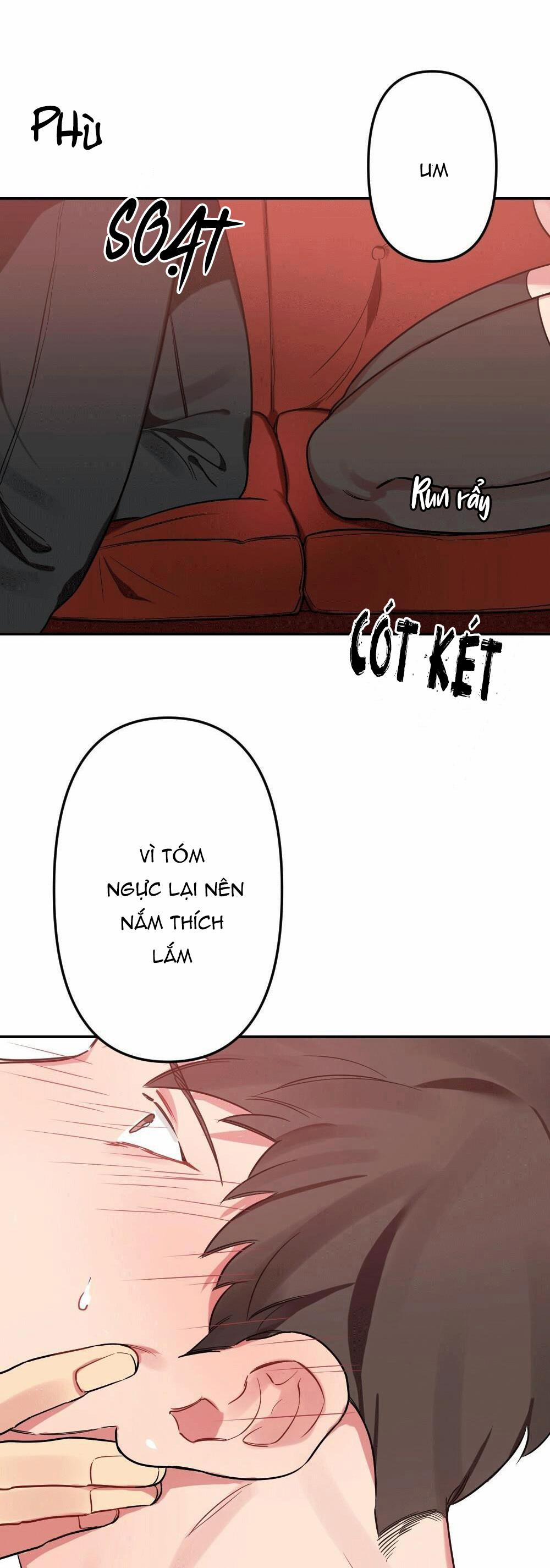 CHĂM SÓC 14 trang 12