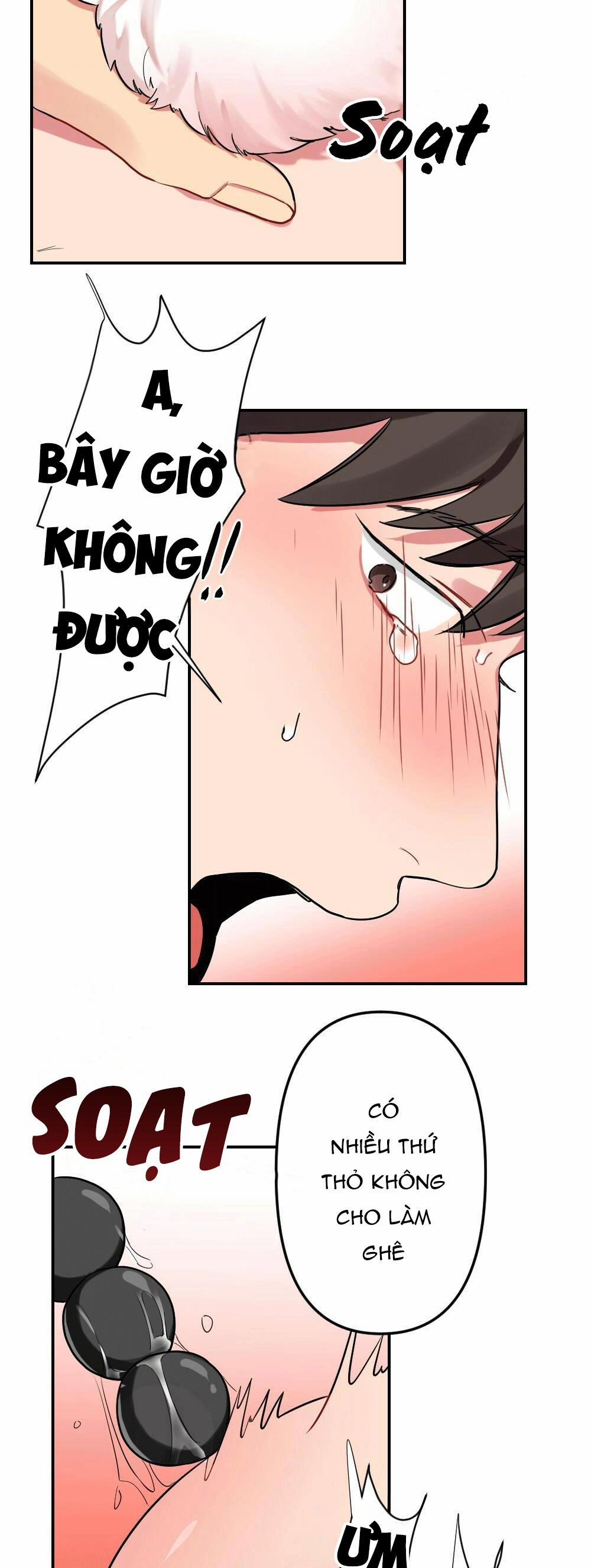 CHĂM SÓC 14 trang 31