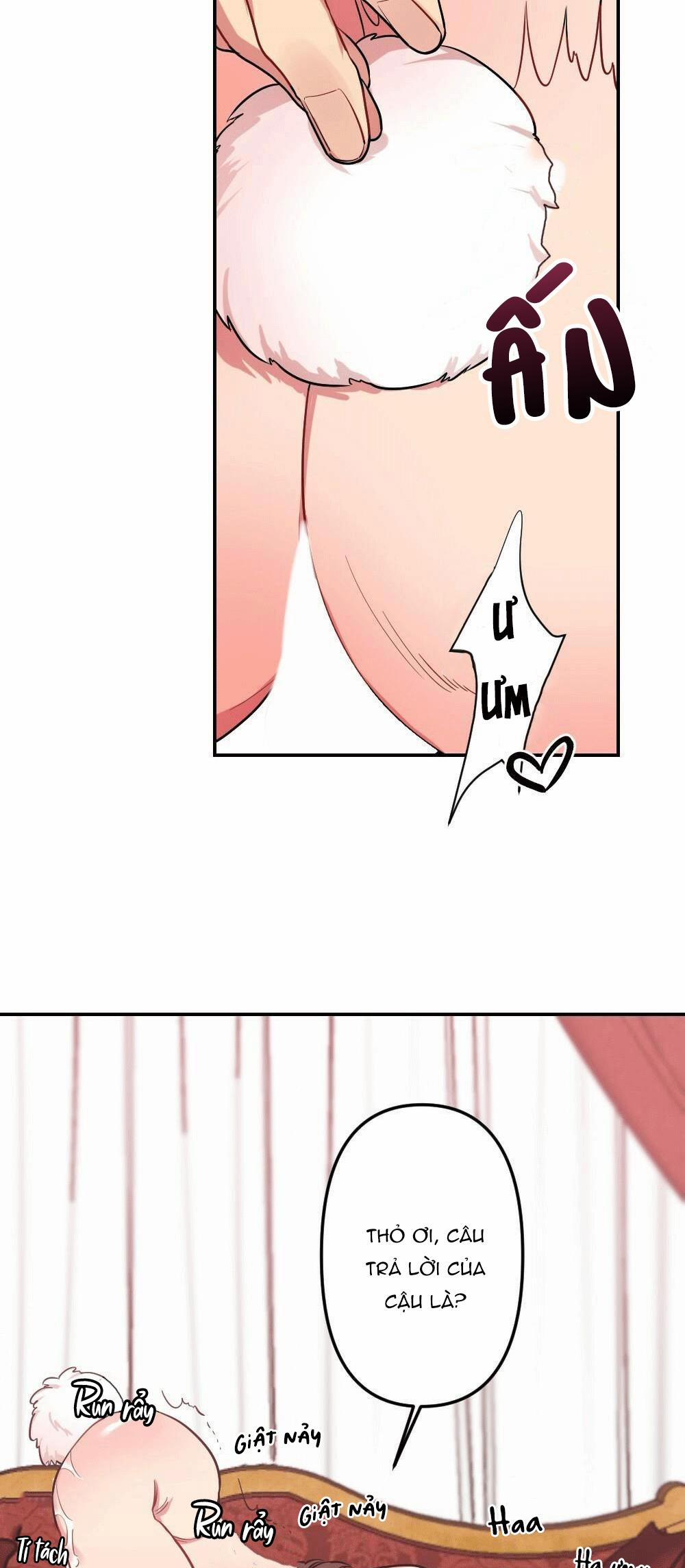 CHĂM SÓC 14 trang 38