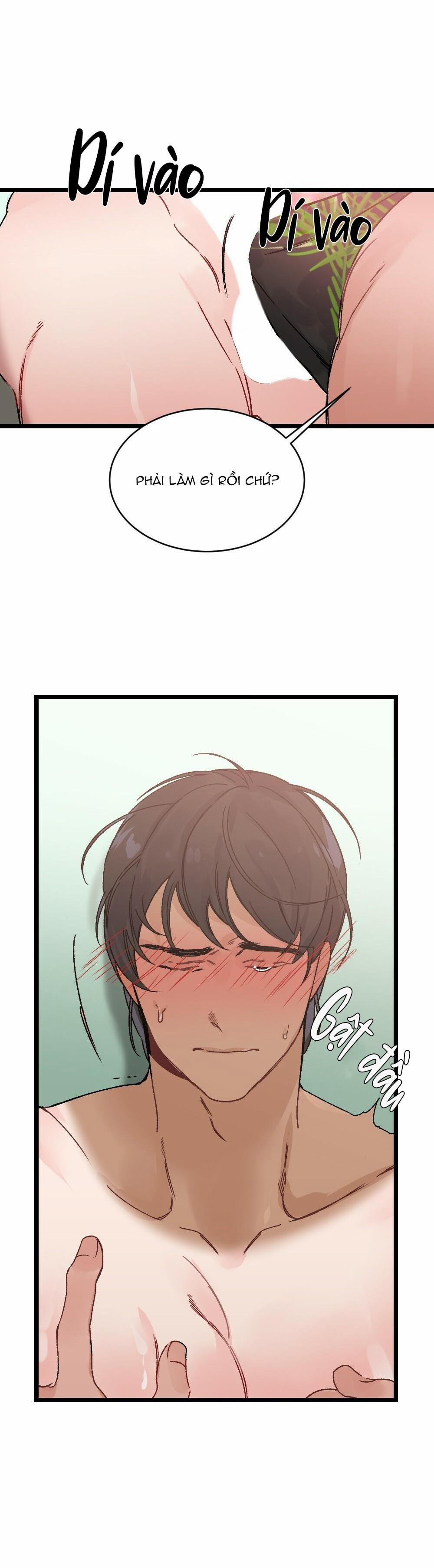 CHĂM SÓC 16 trang 14