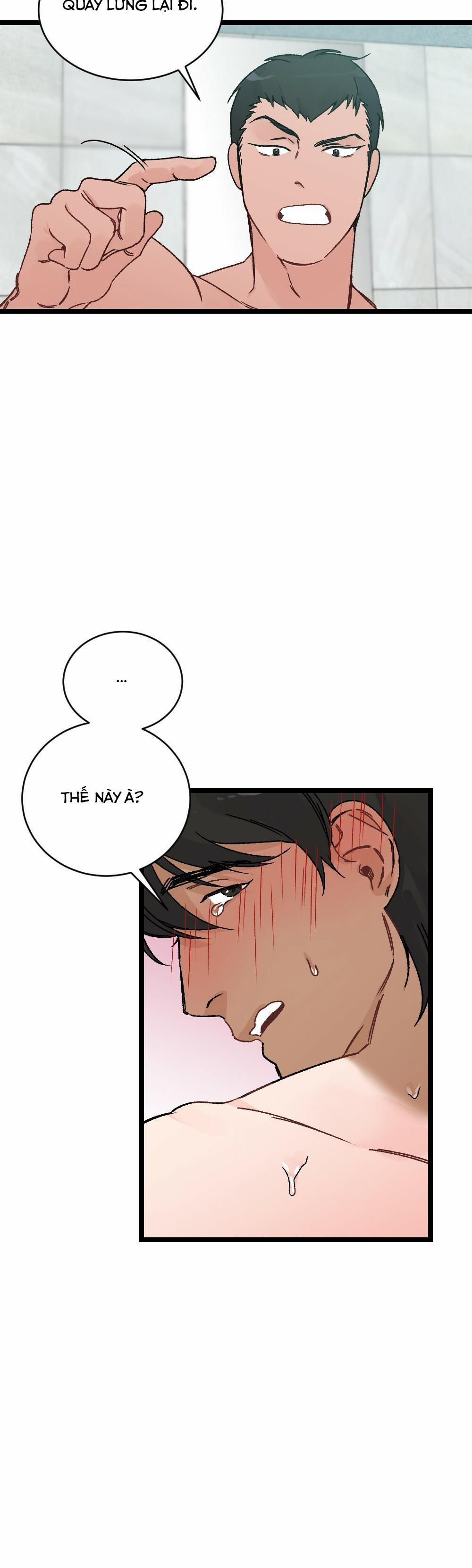 CHĂM SÓC 17 trang 13